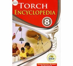 Spotlight Torch Encyclopedia 8Basmart Furnitures 