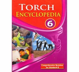 Torch Encyclopedia 6Basmart Furnitures 